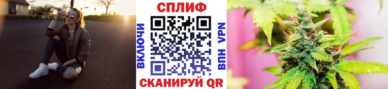 Купить закладку Новоалександровск Амфетамин  Кокаин  МЕФ  Канабис  Галлюциногенные грибы  Alpha-PVP 