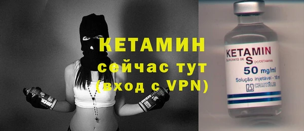 прущие грибы Надым