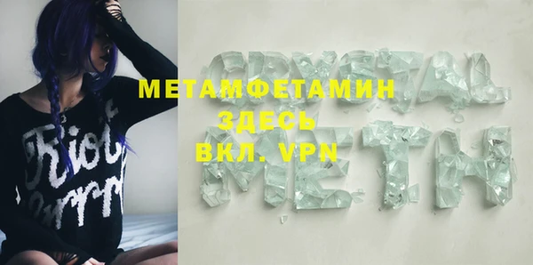 прущие грибы Надым