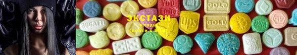 прущие грибы Надым