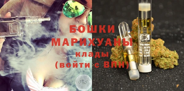 тгк Семёнов