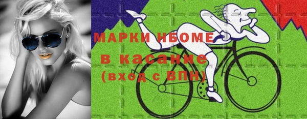 прущие грибы Надым