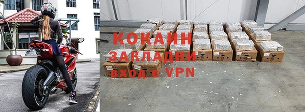 прущие грибы Надым