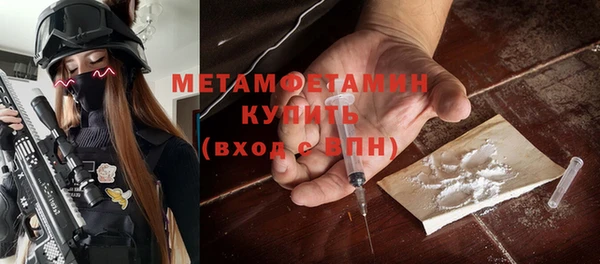 прущие грибы Надым