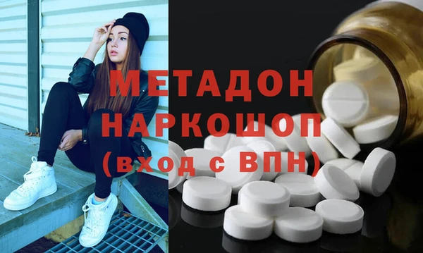 прущие грибы Надым