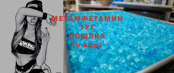 прущие грибы Надым