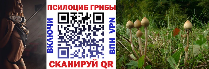 Псилоцибиновые грибы мухоморы  наркота  Новоалександровск 