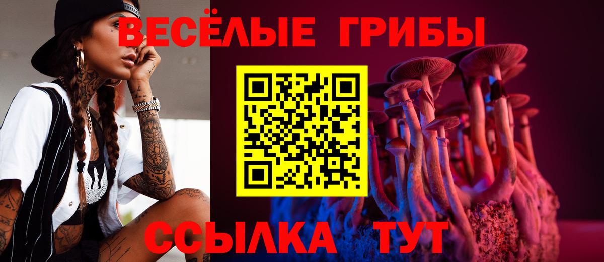 продажа наркотиков  Псилоцибиновые грибы Psilocybine cubensis  Вход с VPN  Новоалександровск  Галлюциногенные грибы ЛСД 