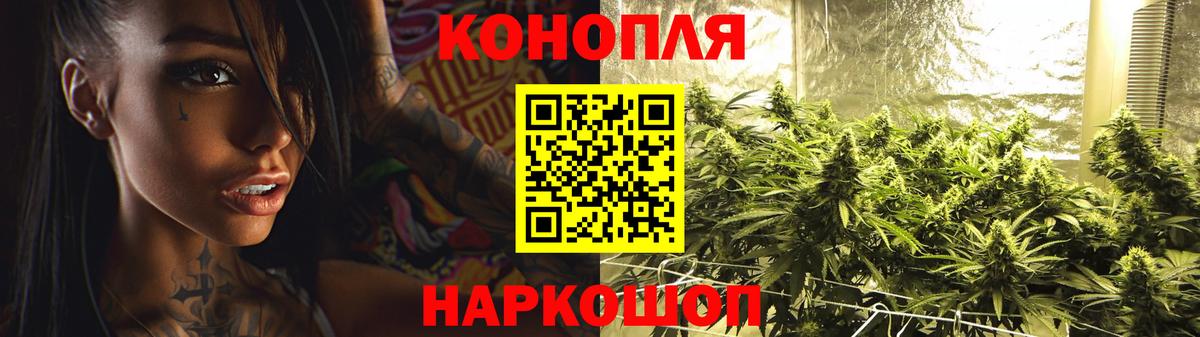 Бошки Шишки семена  Каннабис MAZAR  Вход с VPN  Новоалександровск 